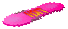 L'Hoverboard